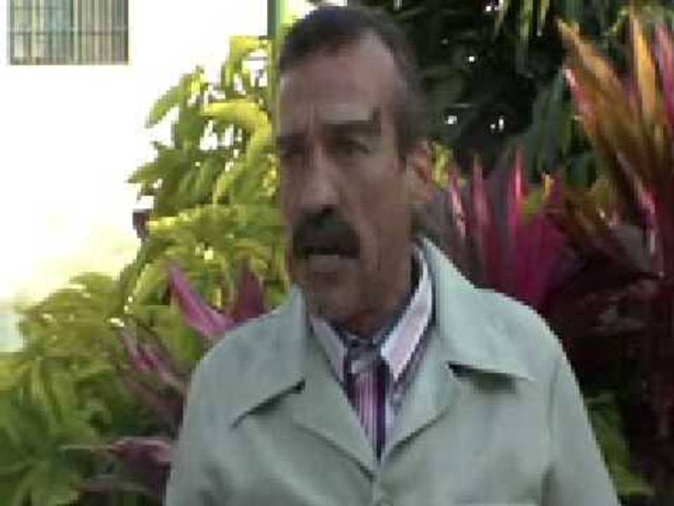 Sin Panal, ¿está panal?