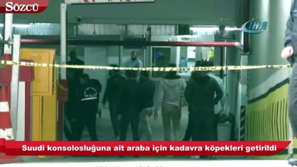 kadavra köpekleri olay yerine getirildi