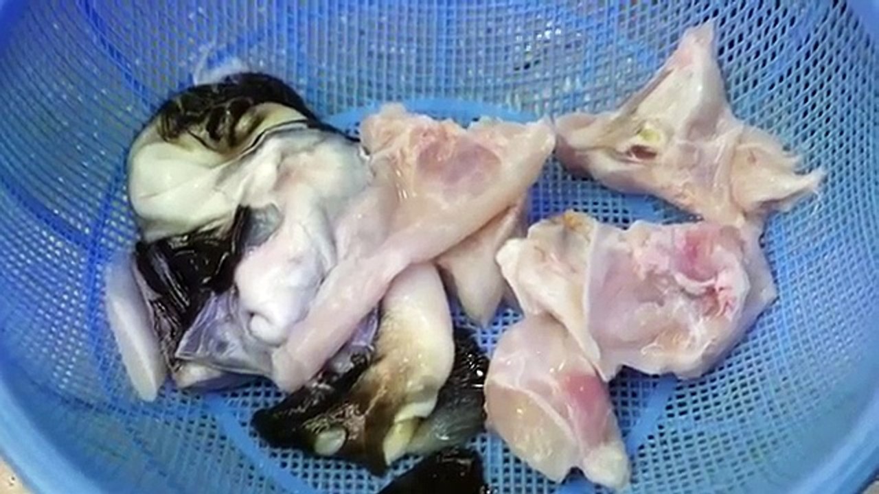 Japanese Street Food - LIVE FUGU PUFFERFISH Puffer Fish Japan