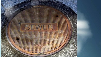 Plumbers Miami FL | (786) 474-3100