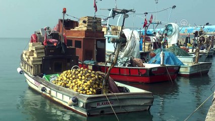 Balıkçılar gözünü hamsiye dikti - DÜZCE