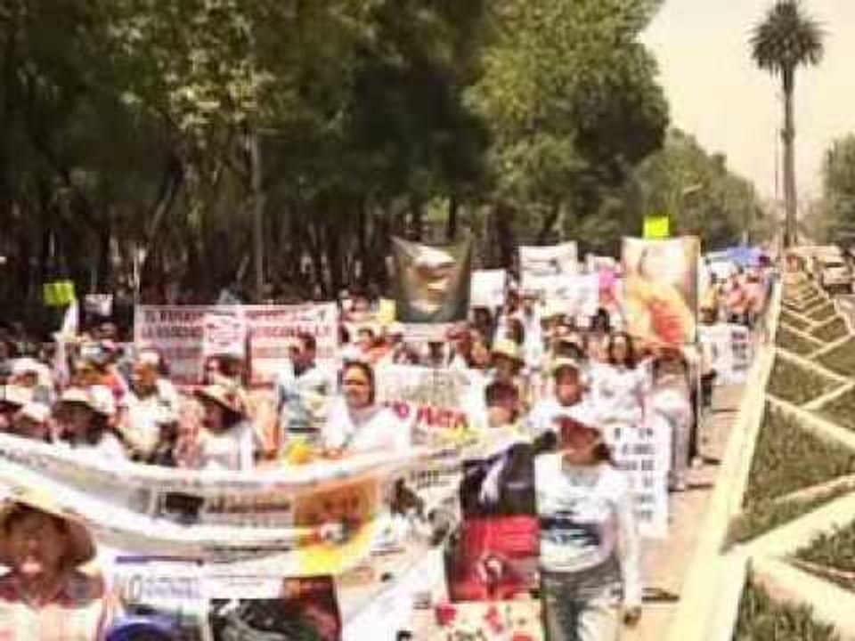 Justicia para los animales