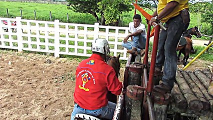 COLEO MARCANDO LA DIFERENCIA