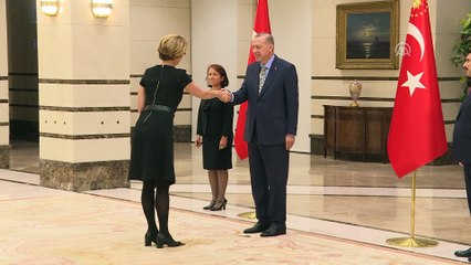 İsveç Büyükelçisi Hellgren, Cumhurbaşkanı Erdoğan'a güven mektubu sundu - ANKARA