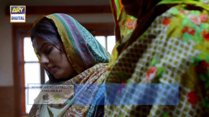 Dil Mom Ka Diya Episode 17 - 23rd October 2018