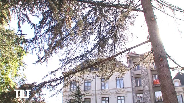 TILT - 23/10/2018 Partie 1 - Festhea : le festival national de théâtre amateur à Saint Cyr