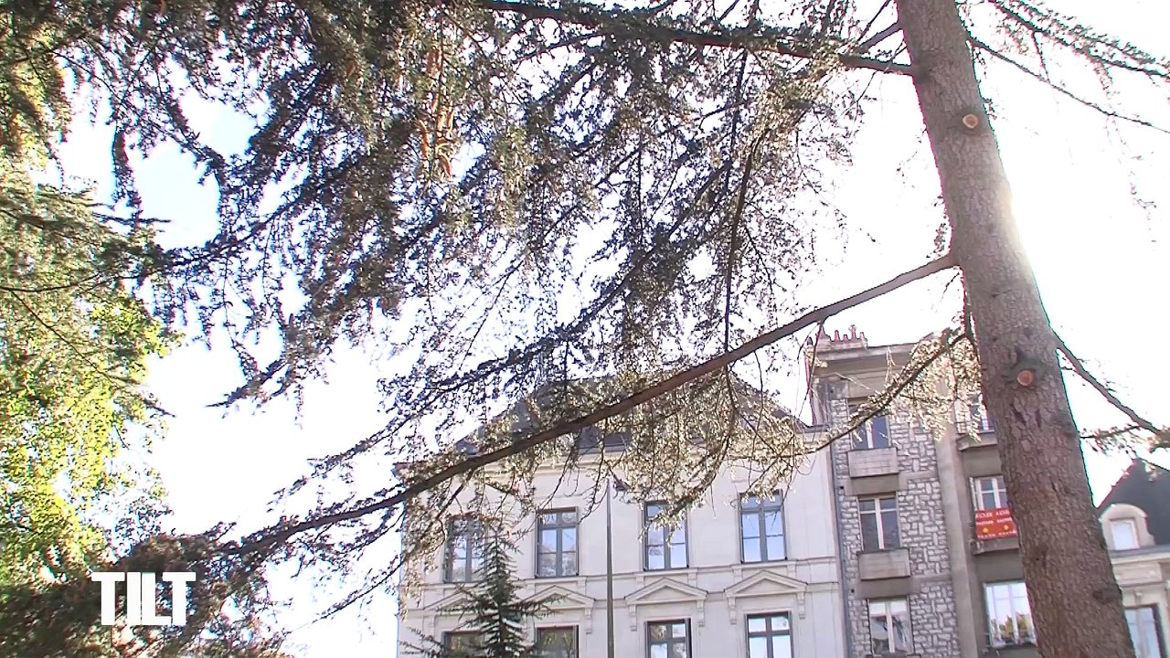 TILT - 23/10/2018 Partie 1 - Festhea : le festival national de théâtre amateur à Saint Cyr