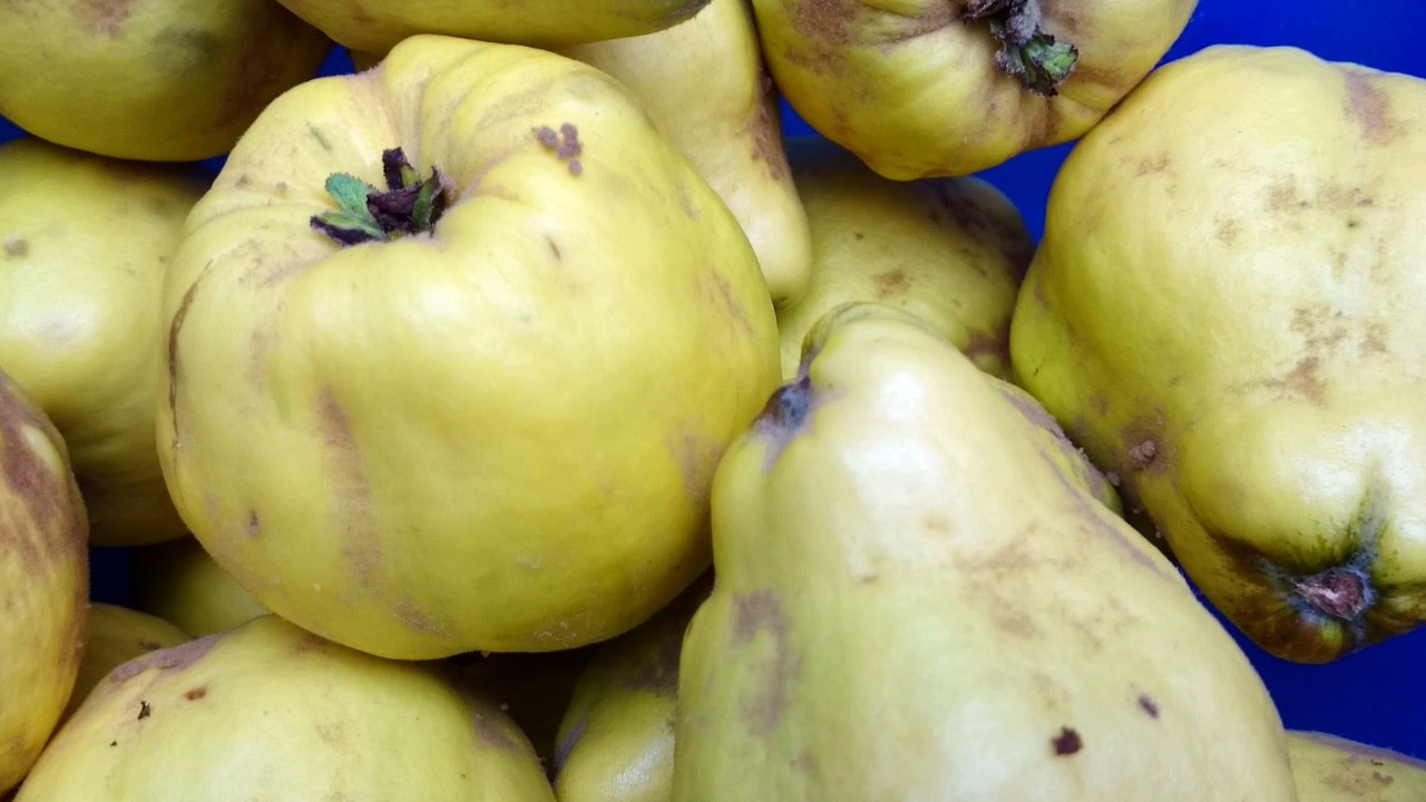 Quitten-Marmelade