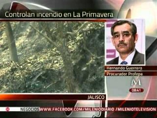 Incendio en bosque La Primavera fue provocado