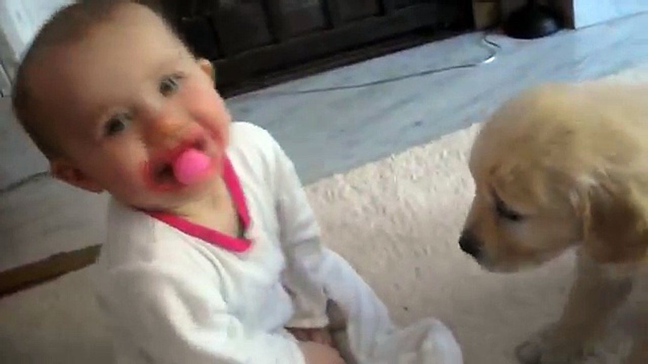 “Adorable Baby Girl and Little Puppy Meet For The First Time. Too Cute!”