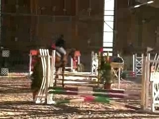 Photo 008