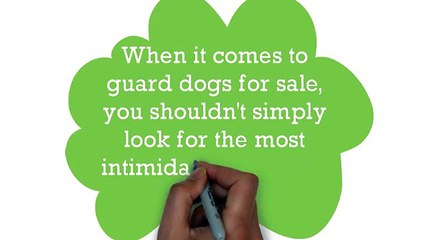 guard dogs for sale
