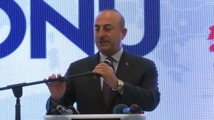 Bakan Çavuşoğlu: '(Cumhurbaşkanlığı Hükümet Sistemi) Yeni bir sayfa açtık' - SAKARYA