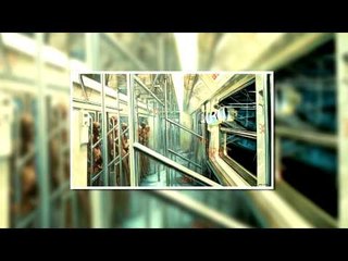 JAVIER AVILÉS ELIZALDE