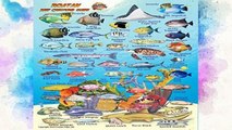 [P.D.F] Roatan Bay Islands Honduras Reef Creatures Guide Franko Maps Laminated Fish Card 4