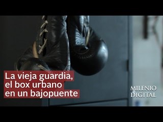La vieja guardia, boxeo de barrio para todo el público