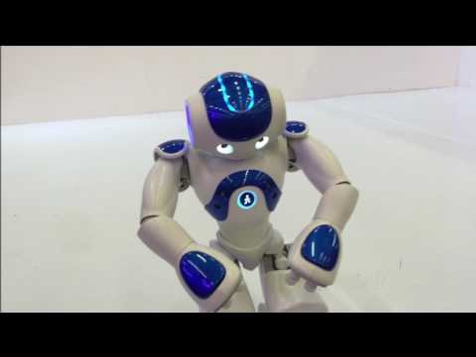 Frida, un robot capaz de aprender