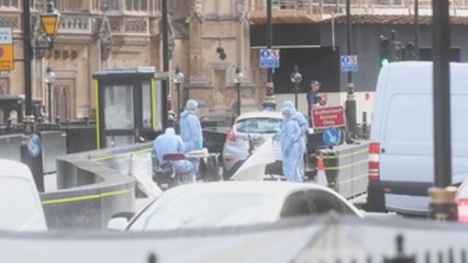 British police treat parliament car crash as terrorist attack