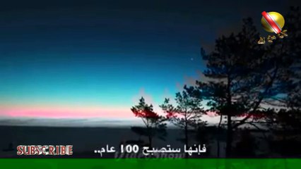 مالذي سيحدث لك إن صليت الفجر, صلاة الفجر ستغيرك