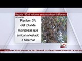 Michoacán reportó 180 mil visitantes en los santuarios de las Mariposas Monarcas