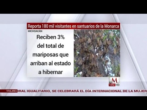 Michoacán reportó 180 mil visitantes en los santuarios de las Mariposas Monarcas