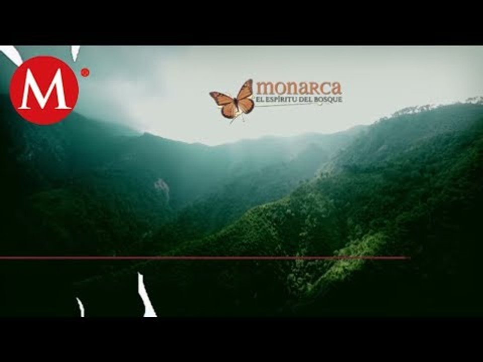 Cumbres de Monterrey, vuelo entre montañas