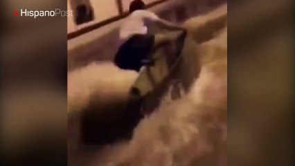 Aprovechó las calles inundadas para surfearlas en una tina de plástico