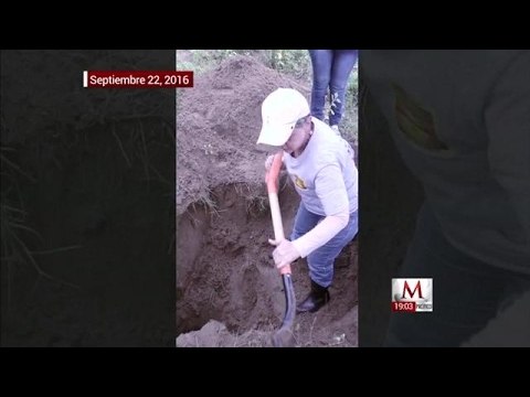 Piden destituir a fiscal de Veracruz, solo dos cuerpos han sido identificados en narcofosas