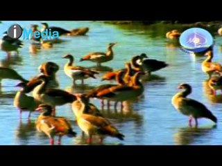 اذكار الصباح والمساء كاملة