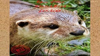 Review  Epic otter Sketch Book for Kids: Blank Paper for Drawing, Doodling or Sketching 100 Large