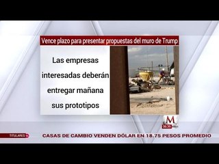 Vence el plazo de propuestas para construcción del muro de Trump