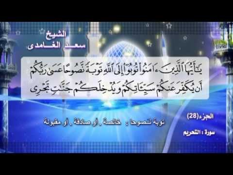 سورة التحريم بصوت الشيخ سعد الغامدى مع المعانى