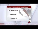En Sinaloa arrojan 3 cuerpos desde una avioneta