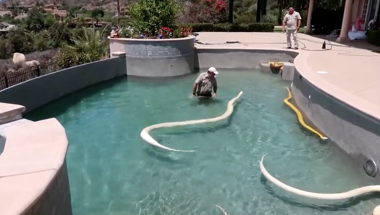 Cette piscine va vous donner des cauchemars...