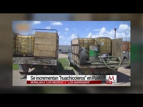 Se incrementan 'Huachicoleros' en Puebla, ‘Negros’ y ‘Marranos’, las bandas más sanguinarias