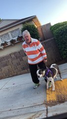 Elderly Woman Chews Car out for Speeding