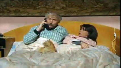 البيك  عم  يتصل  بريبال  وبوران  بدها  تلفزيون -  حسام تحسين بيك  -  عيلة ثمانية نجوم