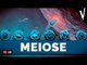 MEIOSE (V) | Biologia