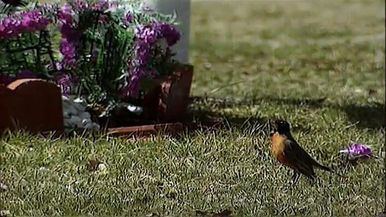 أطباء تحريون - الحلقة 02