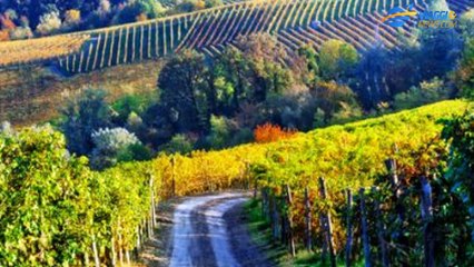 Il Piemonte è la regione più bella del mondo 2019