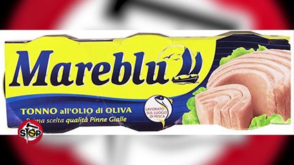 Stop - Alarmi i kompanise per konservat e tonit! 23 tetor 2018