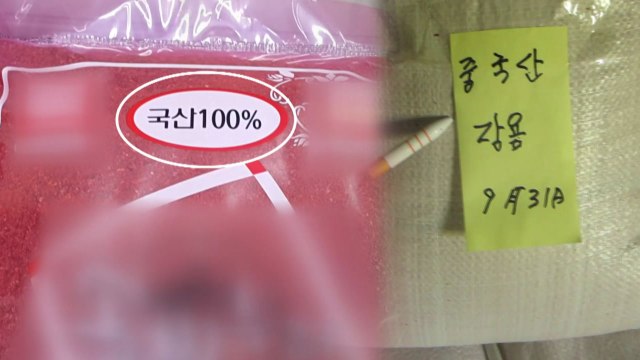 수입 냉동 고추 원산지 둔갑, 이제 꼼작마! / YTN