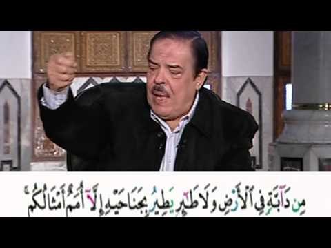 برنامج بلغوا عنى ولو اية - سورة الانعام - من الاية 36 الى الاية 39