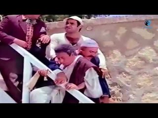 الكلب  وقع  عماشه فى حمام  السباحه