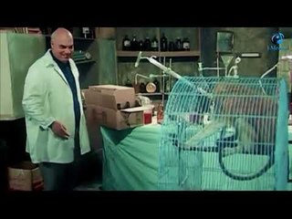 ايه يا سمسم الفنكوش  دة يطلع ايه