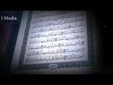 القران الكريم بصوت القارئ الشيخ ماهر المعيقلى - سورة النبأ