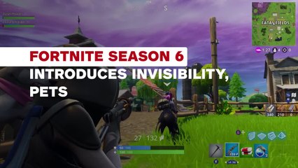 Fortnite Season 6 Invisibility and Pets - IGN News