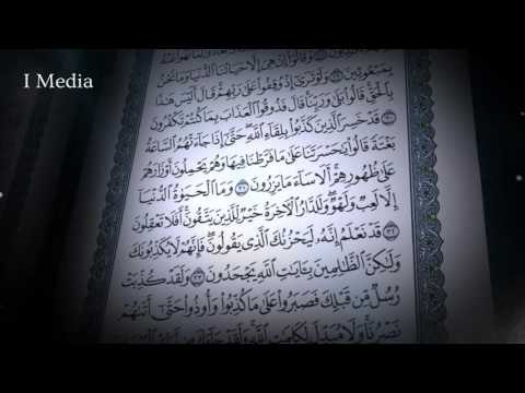 القران الكريم بصوت القارئ الشيخ ماهر المعيقلى - سورة الانعام