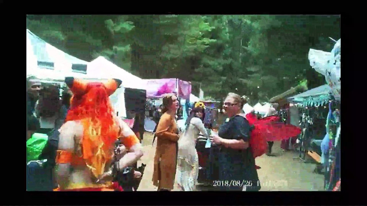 A Walk Through Faerie Worlds 2018