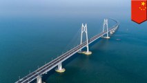 World's longest sea bridge connects China, HK and Macau